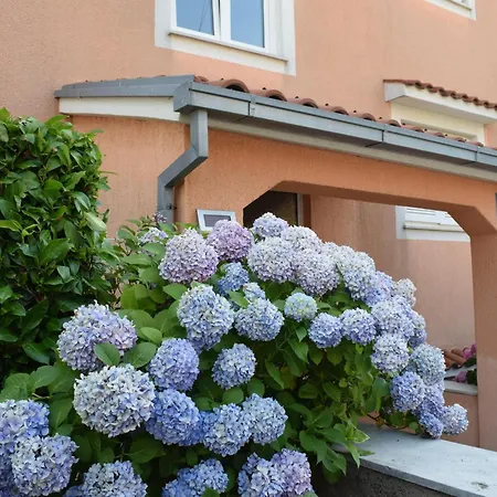 Lavanda Lägenhet *
